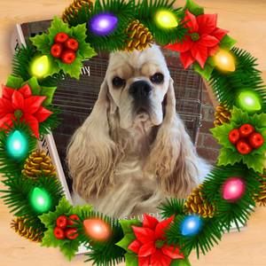 Meet your Posher, Terry